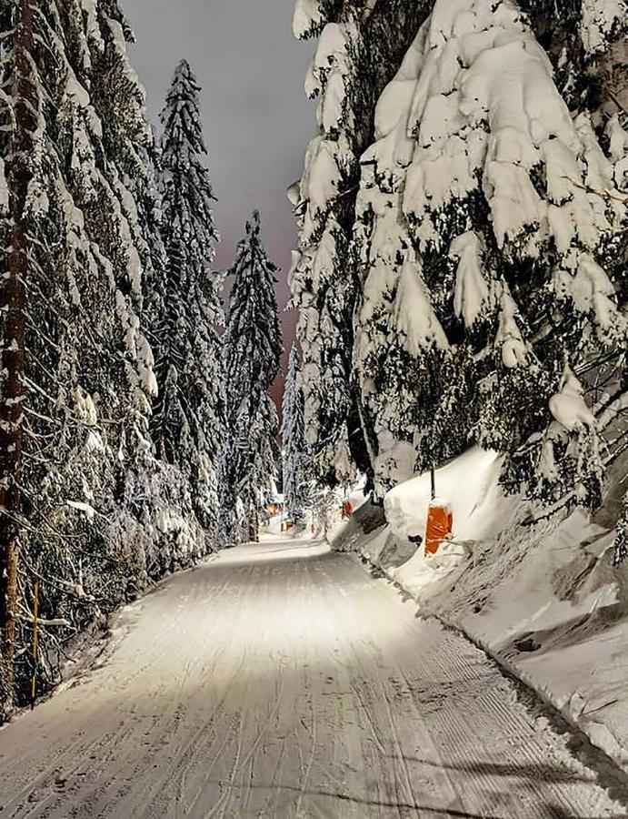 Wolf Apartments Jahorina Exterior photo